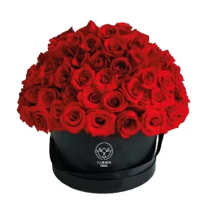 Caja Grande de 100 Rosas Rojas Premium