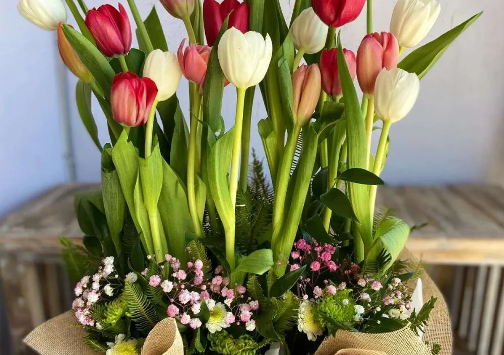 box de tulipanes