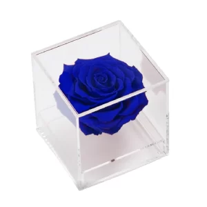 rosa azul en caja acrílica