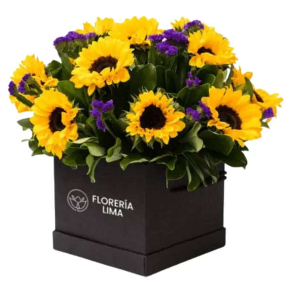 square box de sunflower