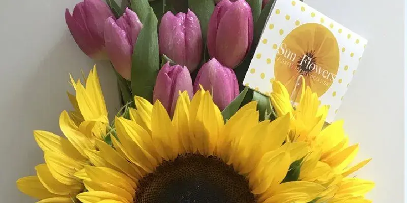 box aitana of purple tulips with sunflowers