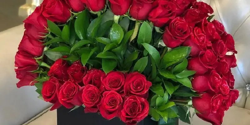 gran box de rosas rojas 