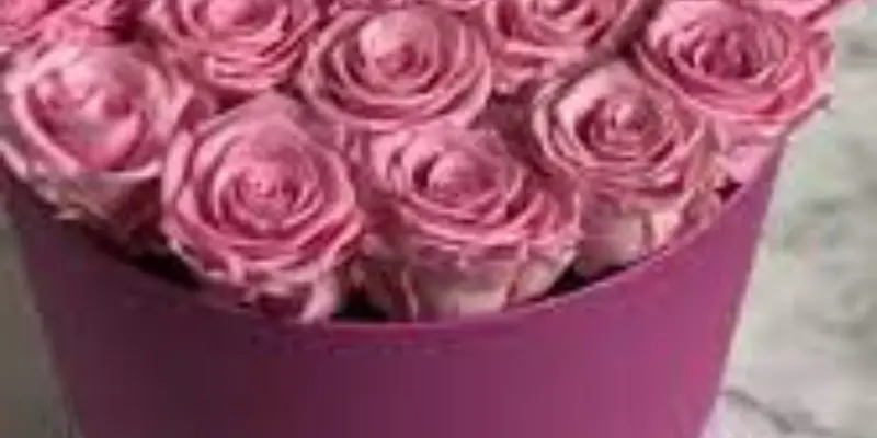 gran rosas rosadas caja redonda 