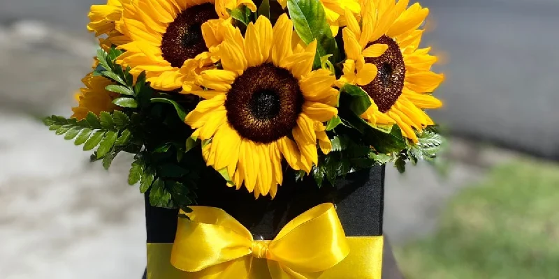 black square sunflower box