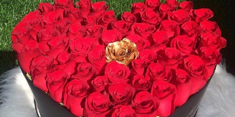 rosas rojas
