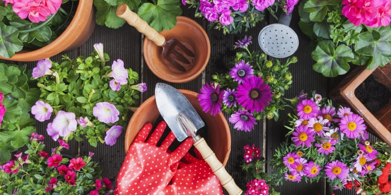 como cuidar flores en primavera