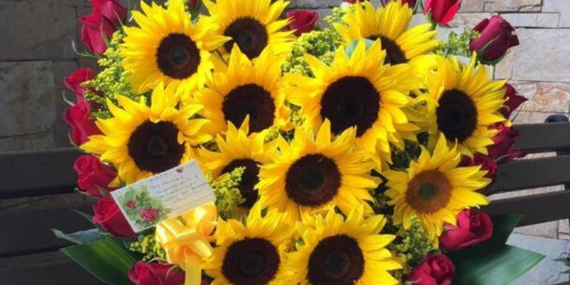 girasoles amarillos