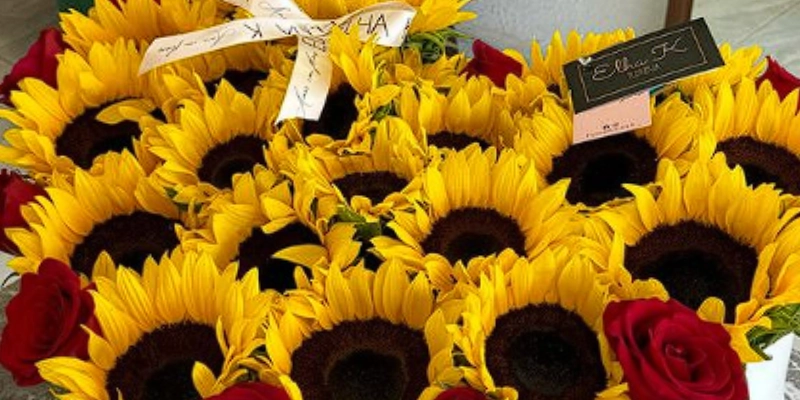 girasoles y rosas