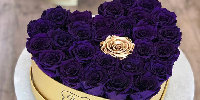 gold rose con rosas moradas