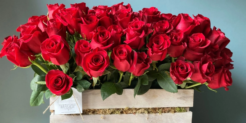 caja de 69 rosas rojas extra grandes