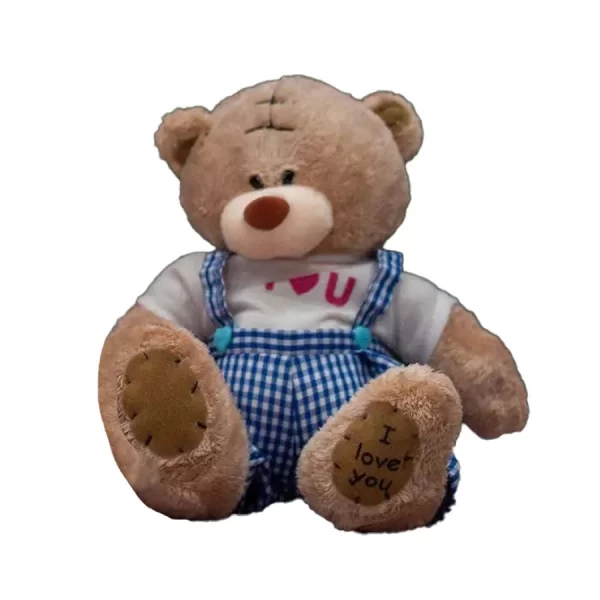 oso peluche ropa cuadros