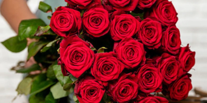 bouquet of roses with leaves