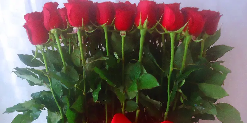 rosas rojas en elegante box metálico