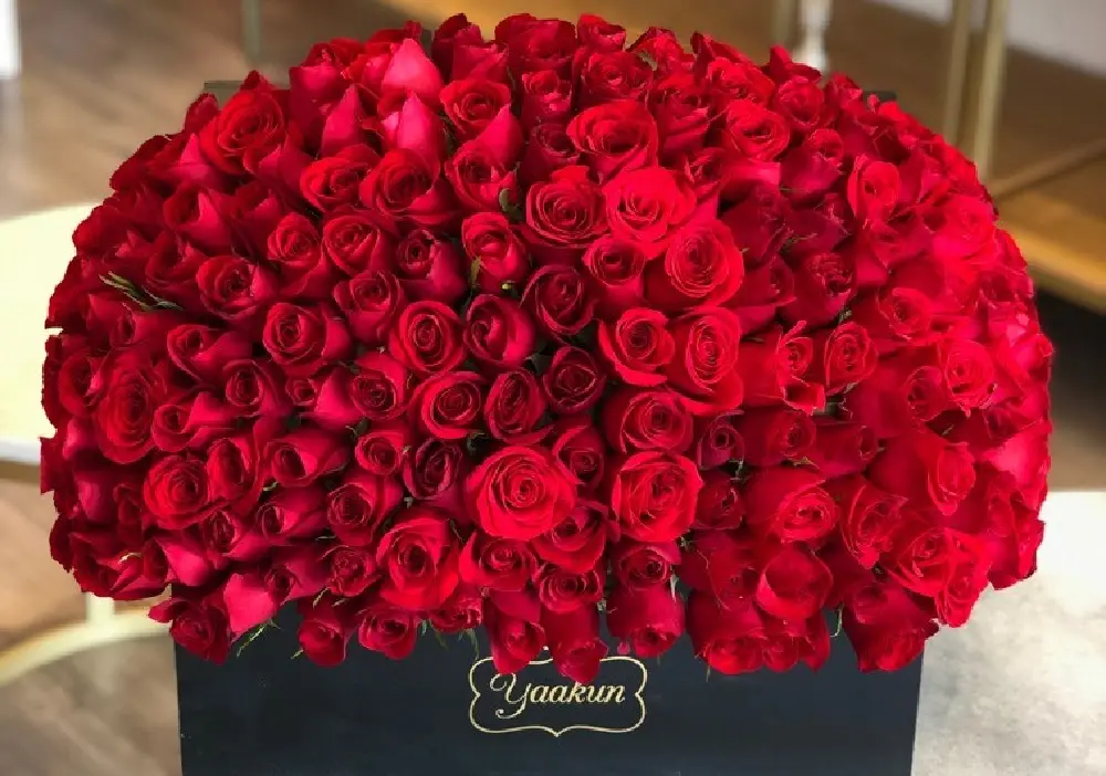 rosas rojas extra grandes