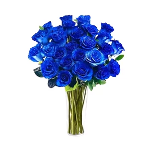 Arreglo Florero 24 Rosas Azules