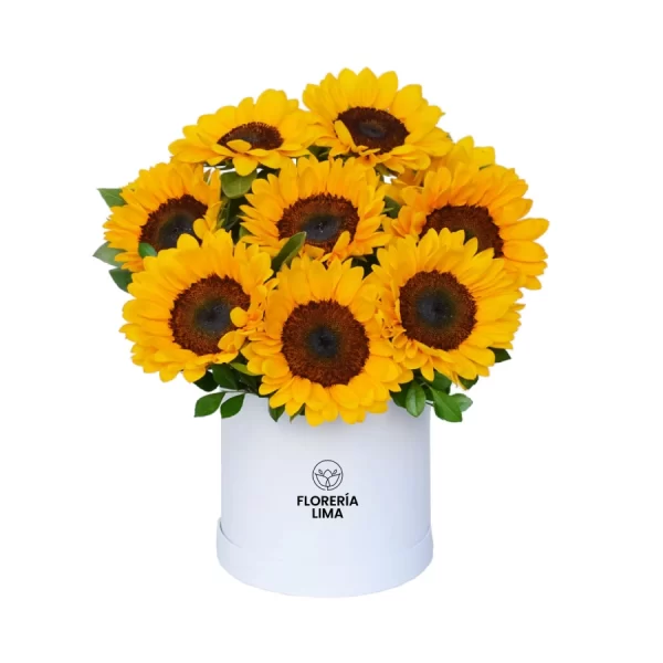 box de sombrero con 10 girasoles