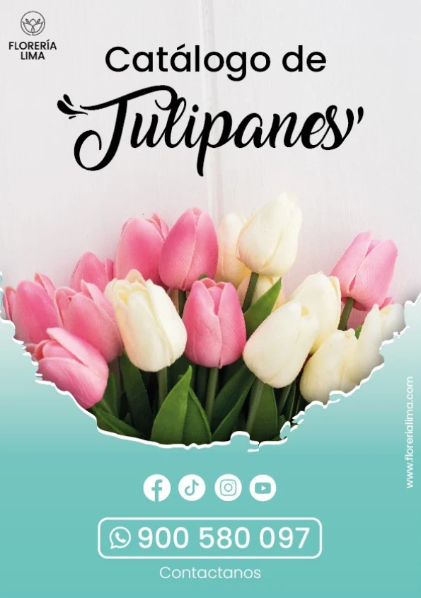 portada de tulipanes