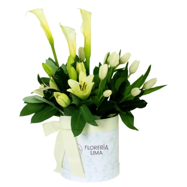 Tulipanes en Sombrerera con Textura